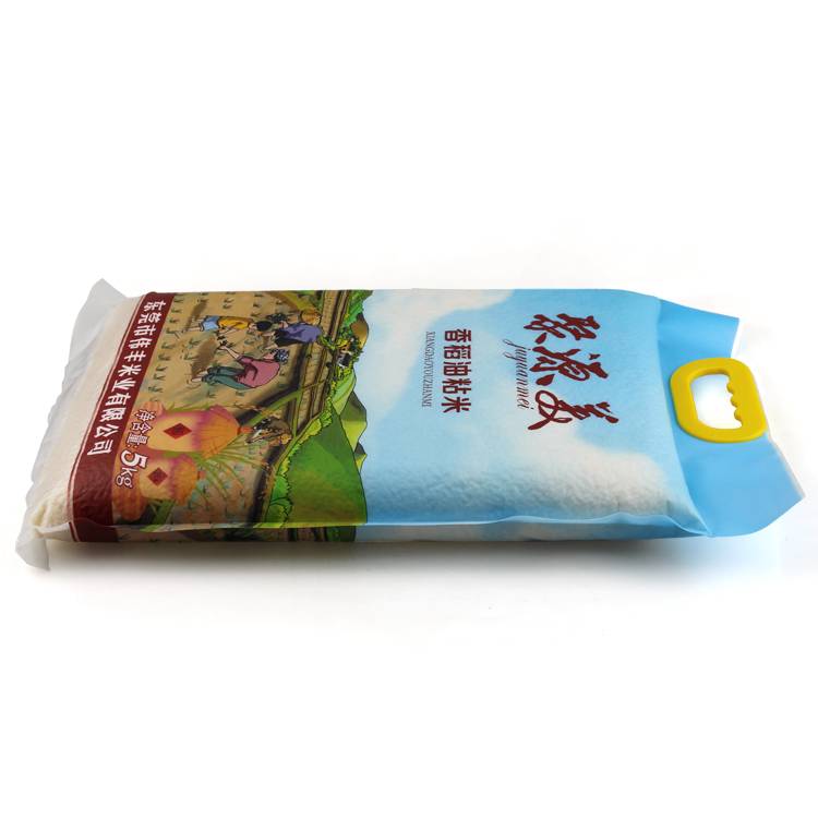 Wholesale Plastic Vacuum Bag Back Seal Food Pouch Rice 1kg 5kg Bag Plastic Food Packaging